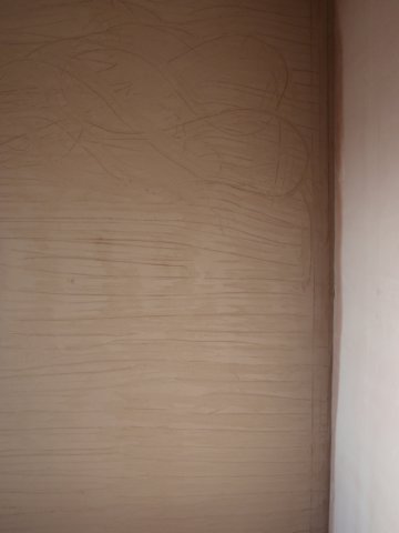 basecoatoflimeplastergoeson.jpg