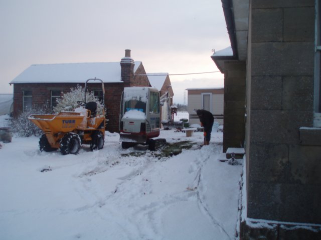 digging2.jpg