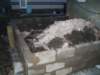 foundations2_small.jpg