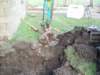 newdrainage10_small.jpg