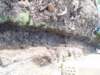 newdrainage11_small.jpg