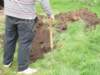 newdrainage4_small.jpg