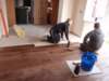 newfloorgoesdown4_small.jpg