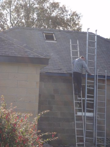 newskylight.jpg