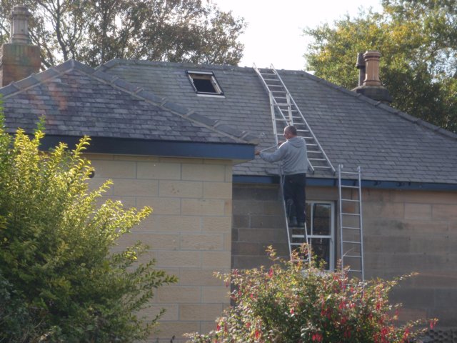 newskylight2.jpg