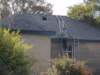 newskylight2_small.jpg