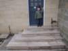 newsteps2_small.jpg