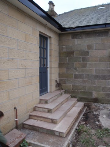 newsteps3.jpg
